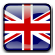 icon_flag_language
