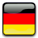 icon_flag_language